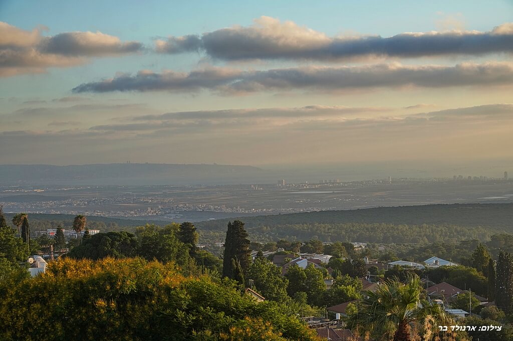 ARN08502_0